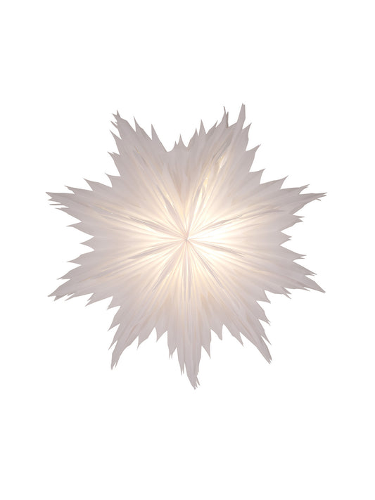 Oslo 80 | Adventstjerne