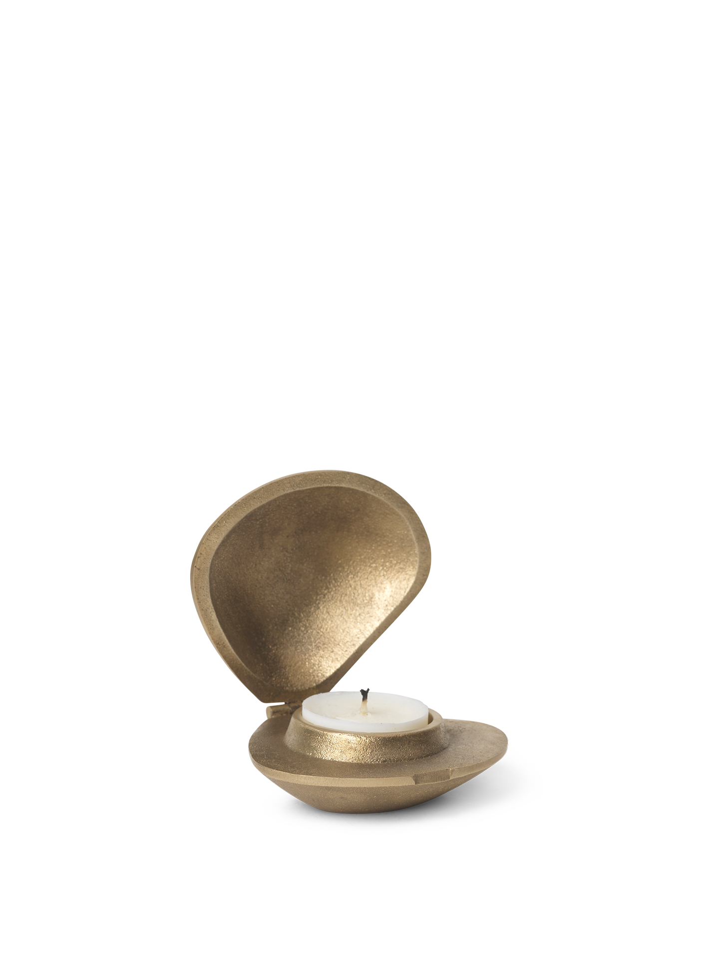 Clam | Telysholder