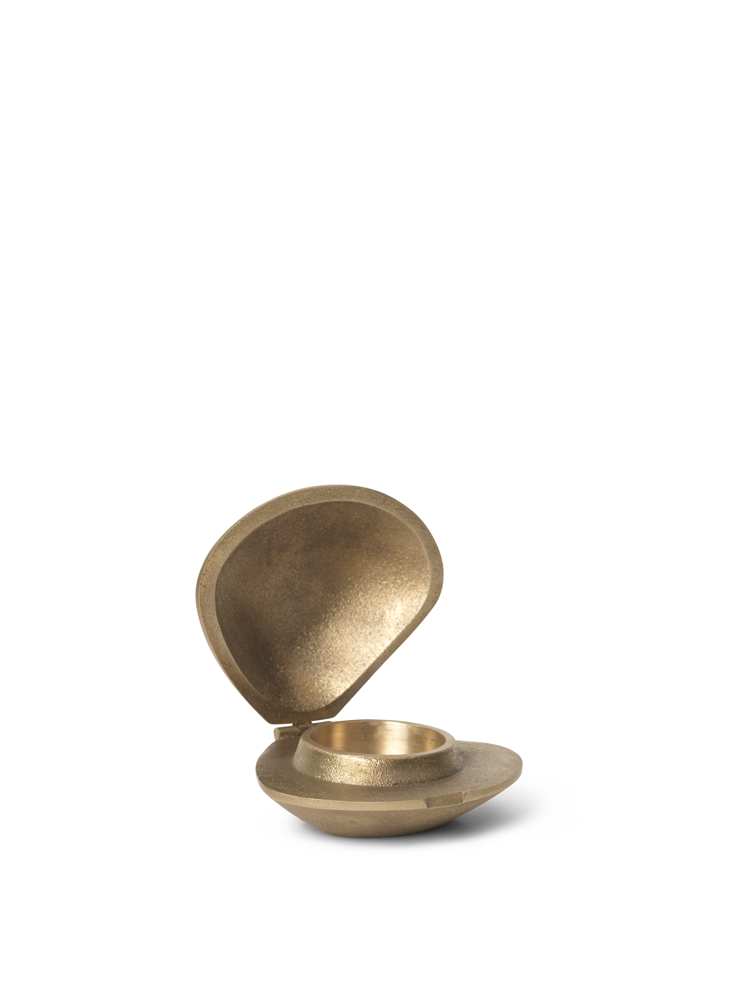 Clam | Telysholder