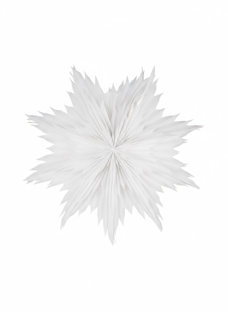 Oslo 80 | Adventstjerne